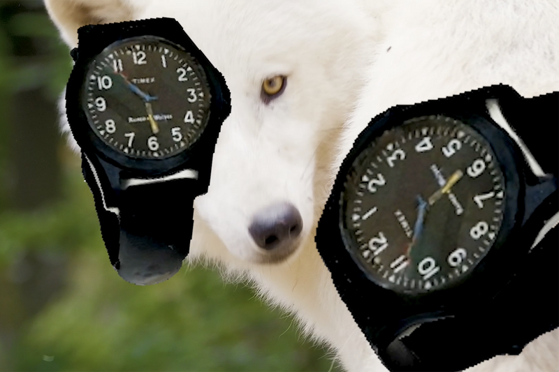 RBW x Timex Acadia Ocean