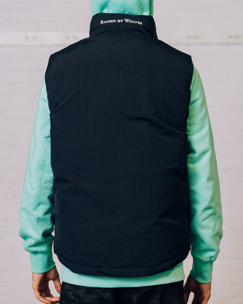 Western Reversible Down Vest