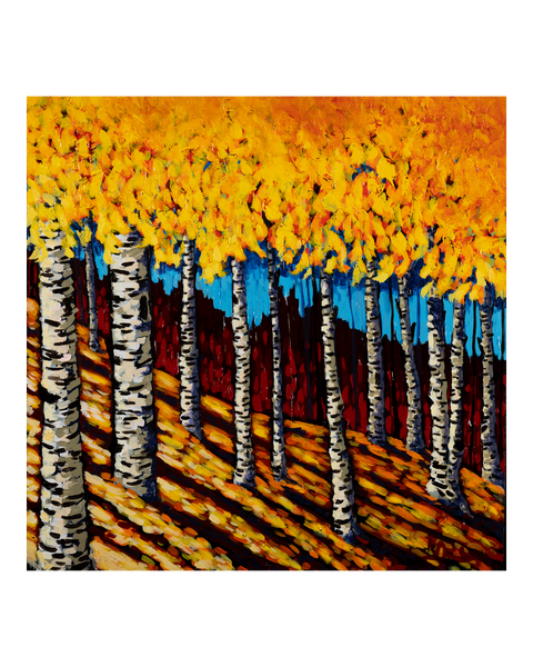 Nora's Fall Birch Grove