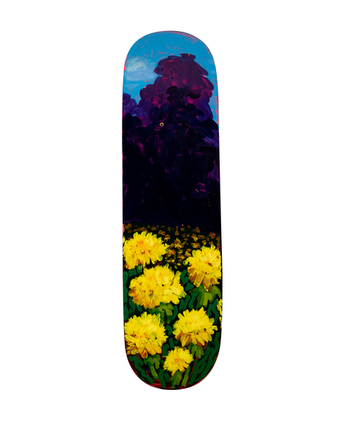 A Sea Of Dandelions Deck II