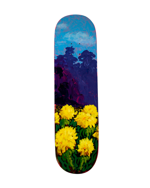 A Sea Of Dandelions Deck III