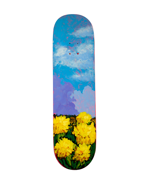 A Sea Of Dandelions Deck V