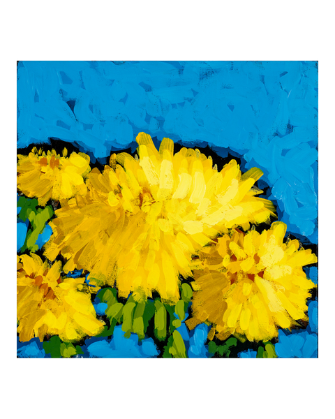 Dandelions Untamed II