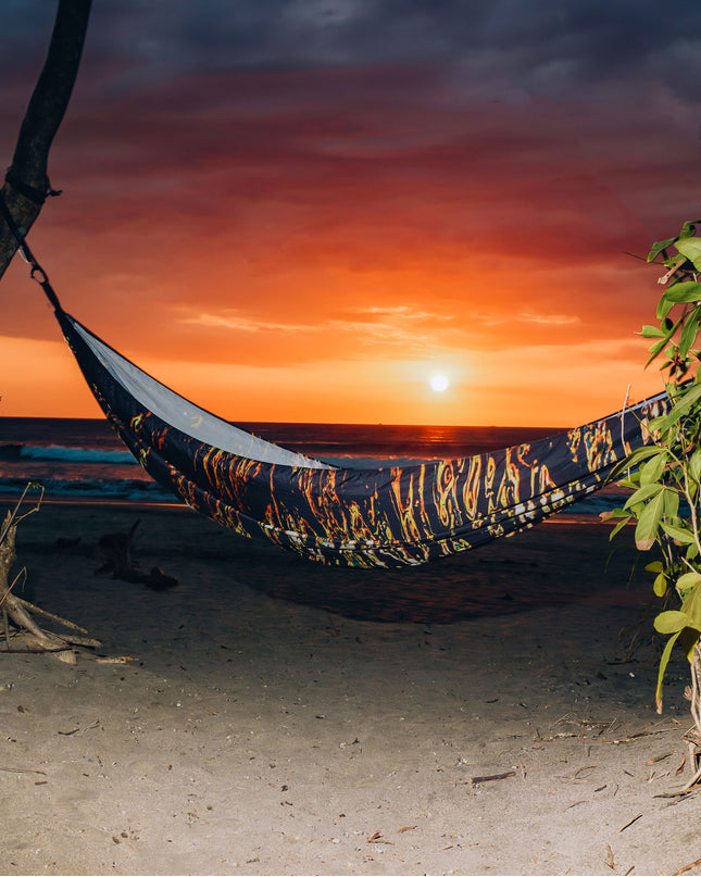 Tiger Shark Hammock